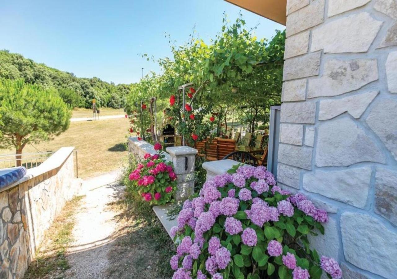 Adria Vrsar Daire Dış mekan fotoğraf